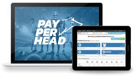 pay per head sportsbook software|payperhead software.